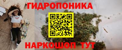 ГАЛЛЮЦИНОГЕННЫЕ ГРИБЫ Татарск