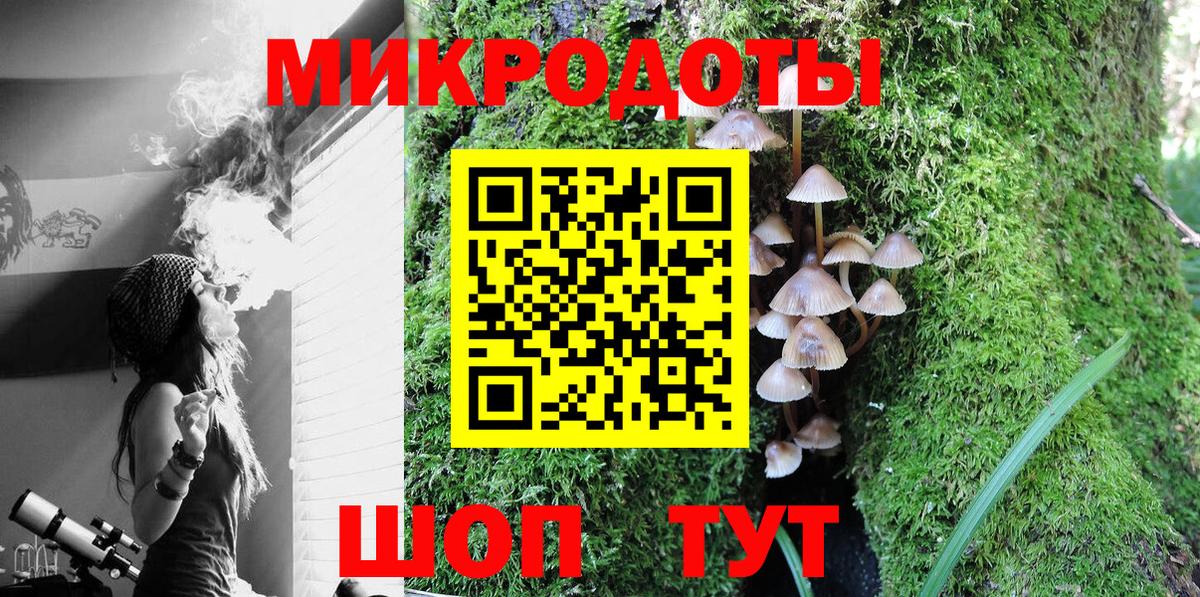Галлюциногенные грибы Psilocybe Нефтекумск