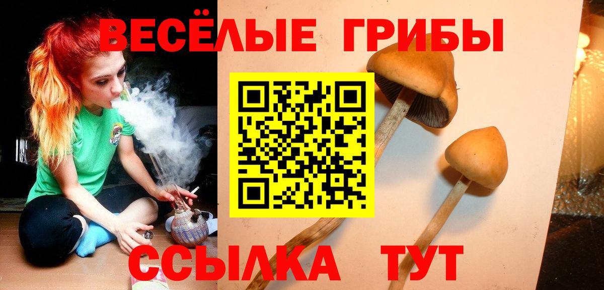 Псилоцибиновые грибы MAGIC MUSHROOMS  Вход с VPN  Псилоцибиновые грибы Psilocybine cubensis  Нефтекумск 
